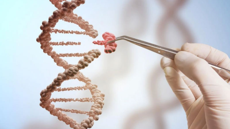 đột biến gen là gì 2