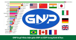 gnp là gì