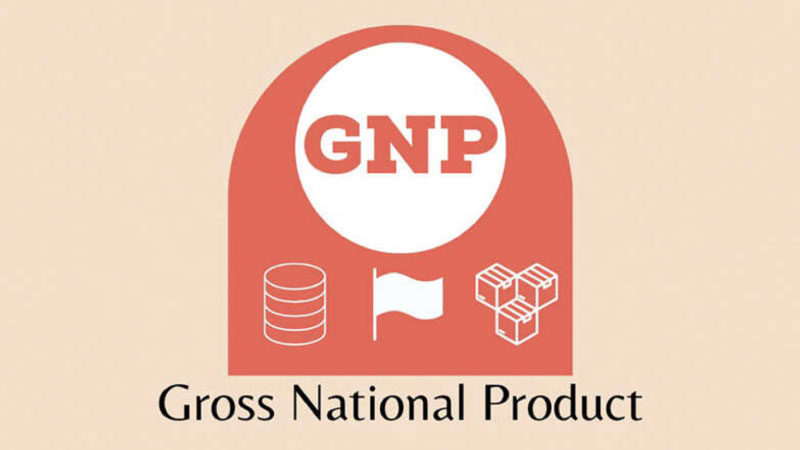 gnp là gì 3