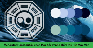 mạng mộc hợp màu gì