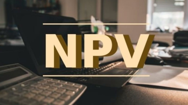 npv là gì 1
