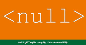 null là gì