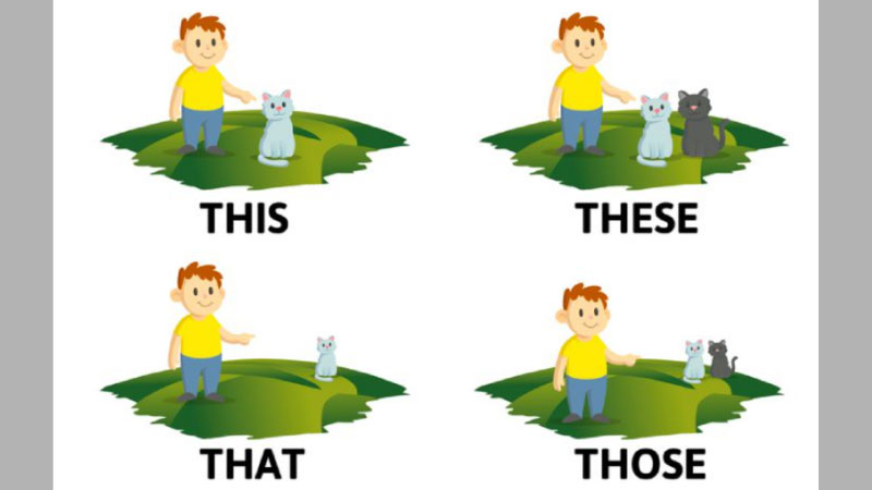 pronoun là gì 3