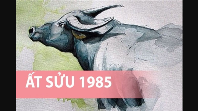 sinh năm 1985 mệnh gì 1