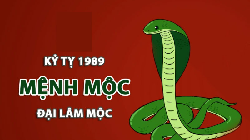 sinh năm 1989 mệnh gì 2