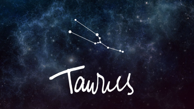 taurus là cung gì 2