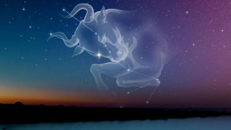 taurus là cung gì 3