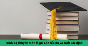 trình độ chuyên môn là gì