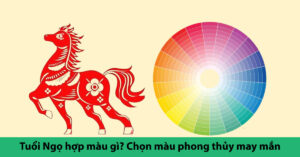 tuổi ngọ hợp màu gì