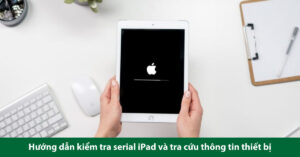 check serial ipad