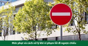 lỗi đi ngược chiều
