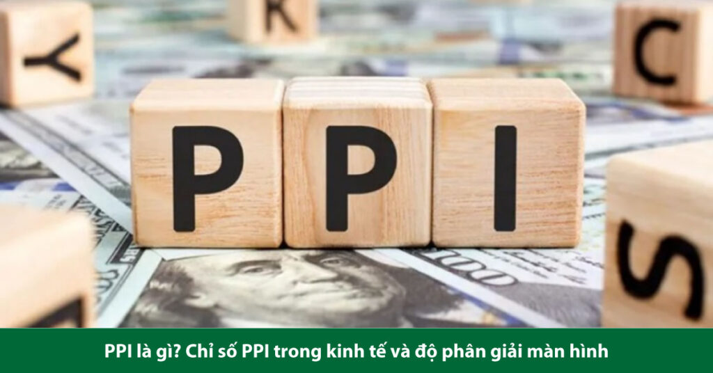 ppi là gì