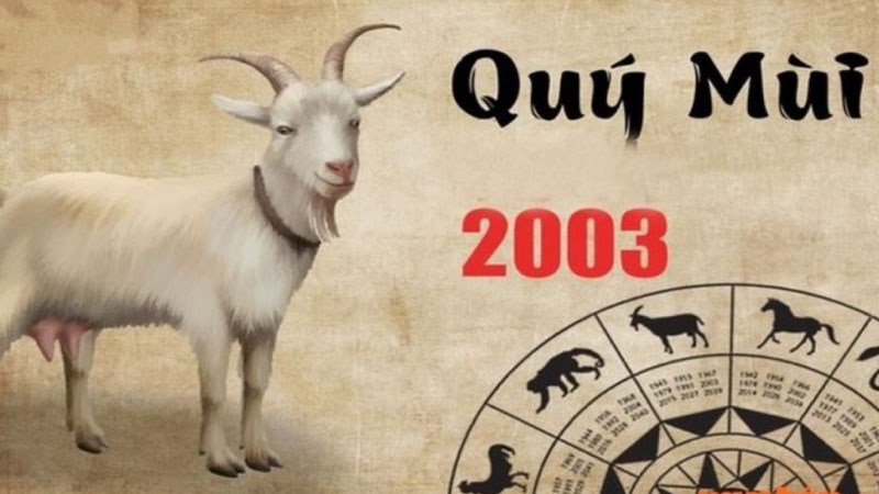 sinh năm 2003 mệnh gì 2