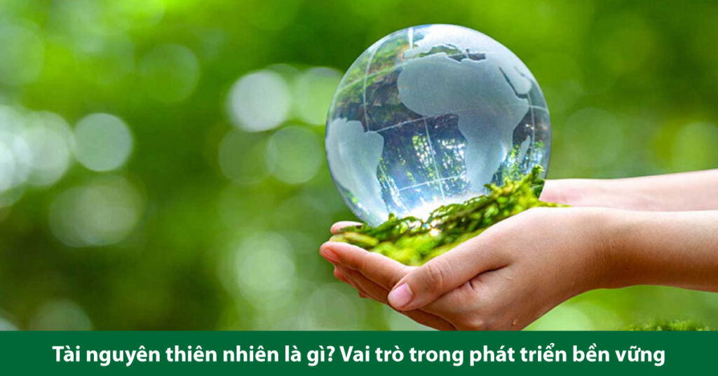 tài nguyên thiên nhiên là gì