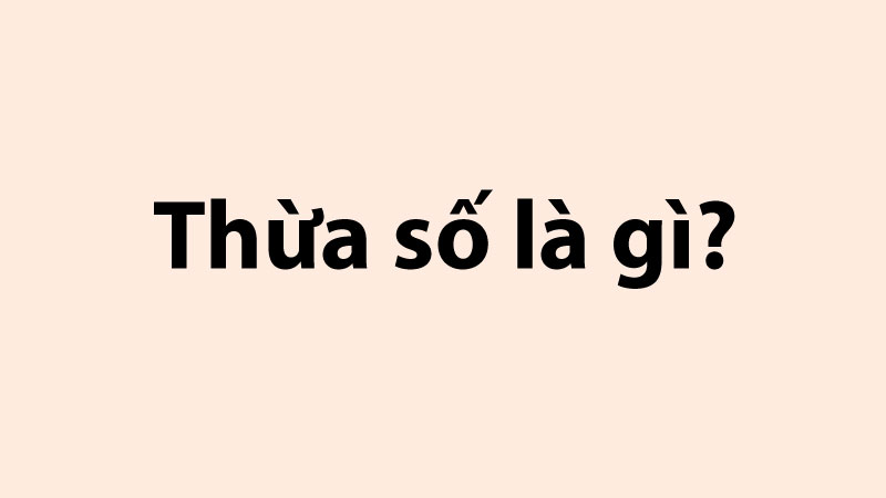 thừa số là gì 1