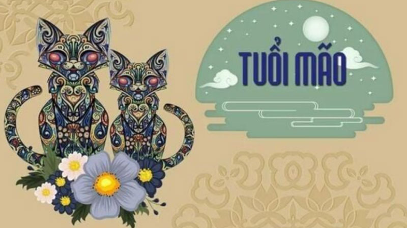 tuổi mão hợp màu gì 2