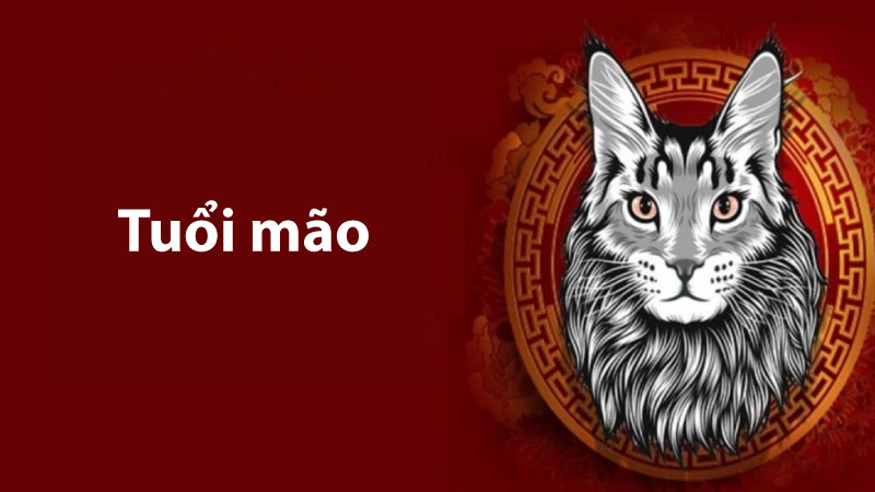 tuổi mão hợp màu gì 3