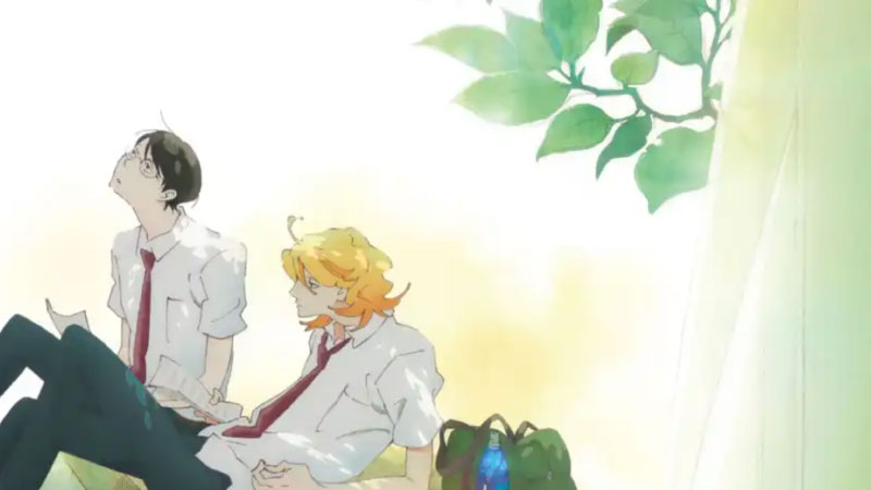 anime đam mỹ 3