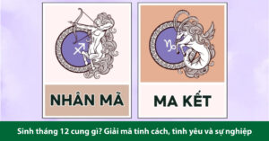 tháng 12 cung gì