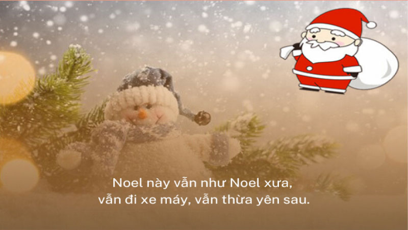 cap noel hay