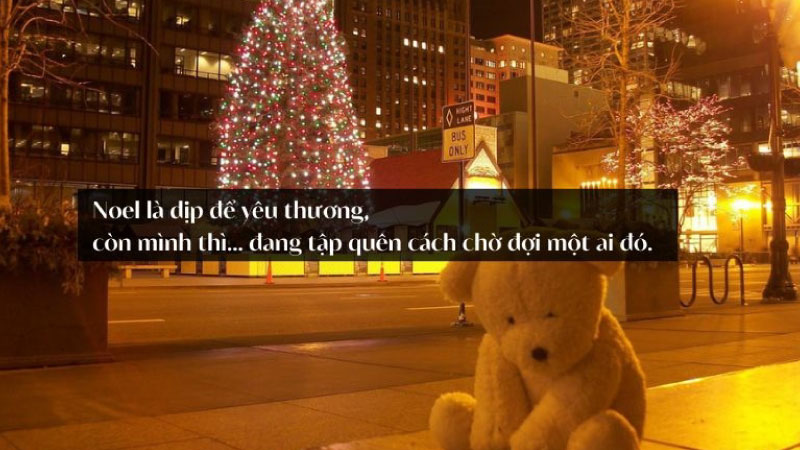cap noel hay