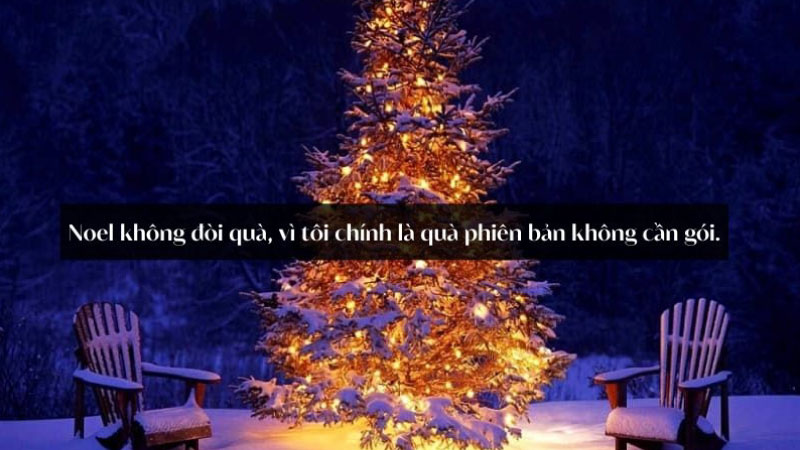 cap noel hay