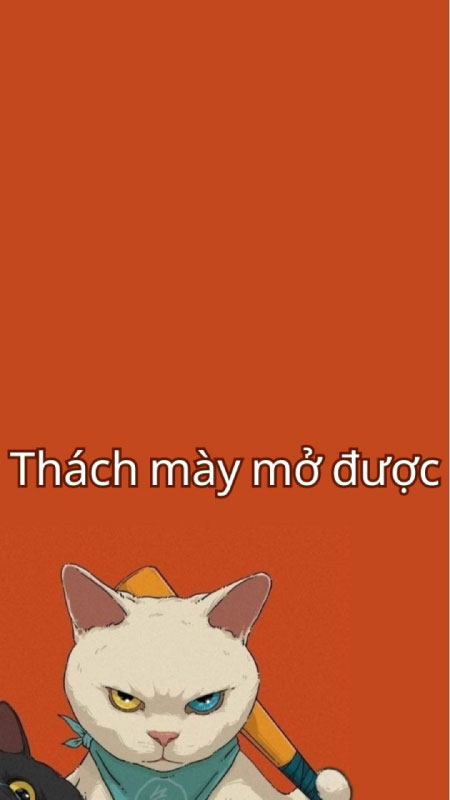 hình nền bỏ điện thoại tao xuống