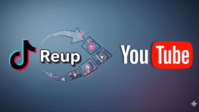 reup là gì 3
