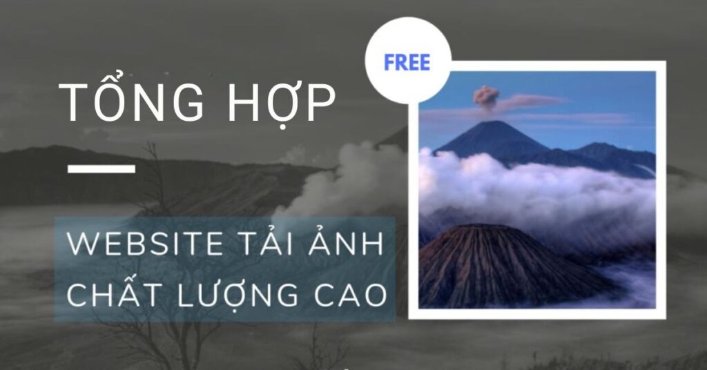 tìm hình ảnh đẹp