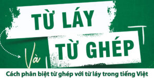 từ ghép là gì