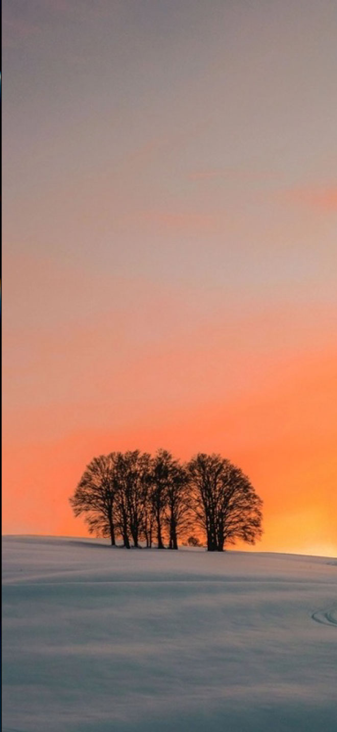 hình nền iphone 12