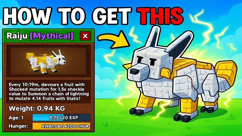 Phân Tích Chi Tiết Các Loại Pet và Khả Năng Phân Tích Chi Tiết Các Loại Pet và Khả Năng