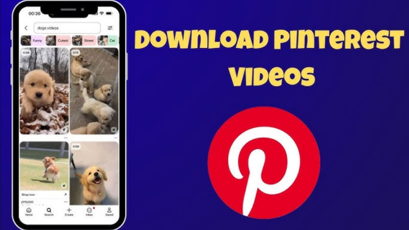 Download video pinterest