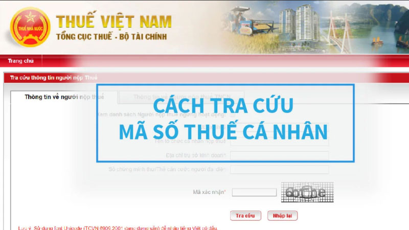 tra cứu mã số thuế