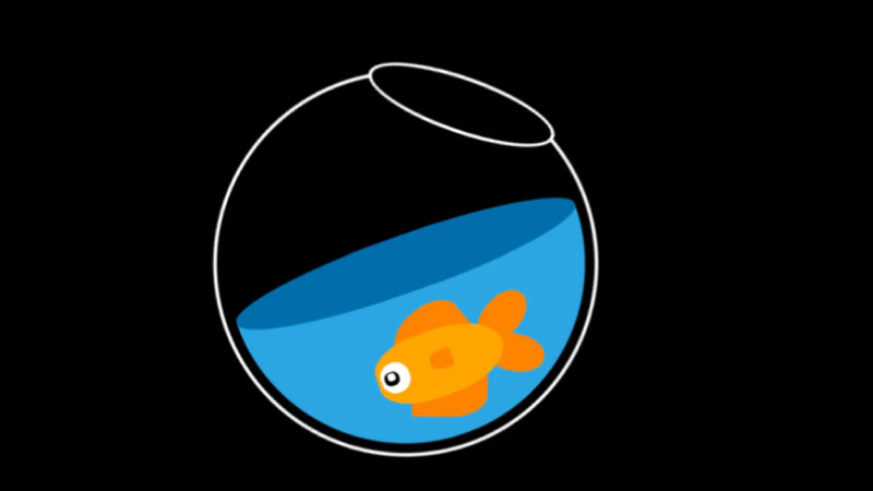 fish bowl